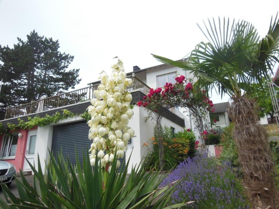 Julia'S Mosel Villa Appartement Nicolas ทราเบิน-ทราร์บาค ภายนอก รูปภาพ